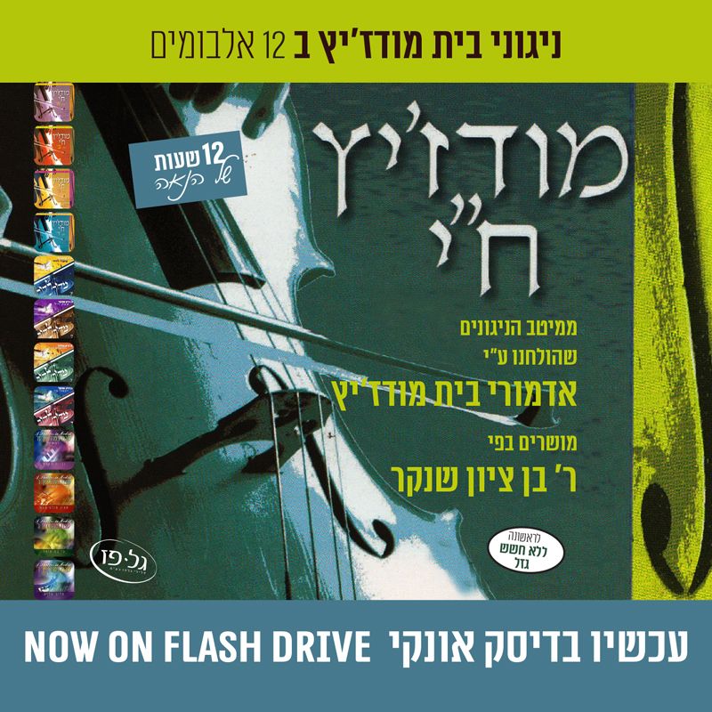 Modzitz Chai Collection (USB)