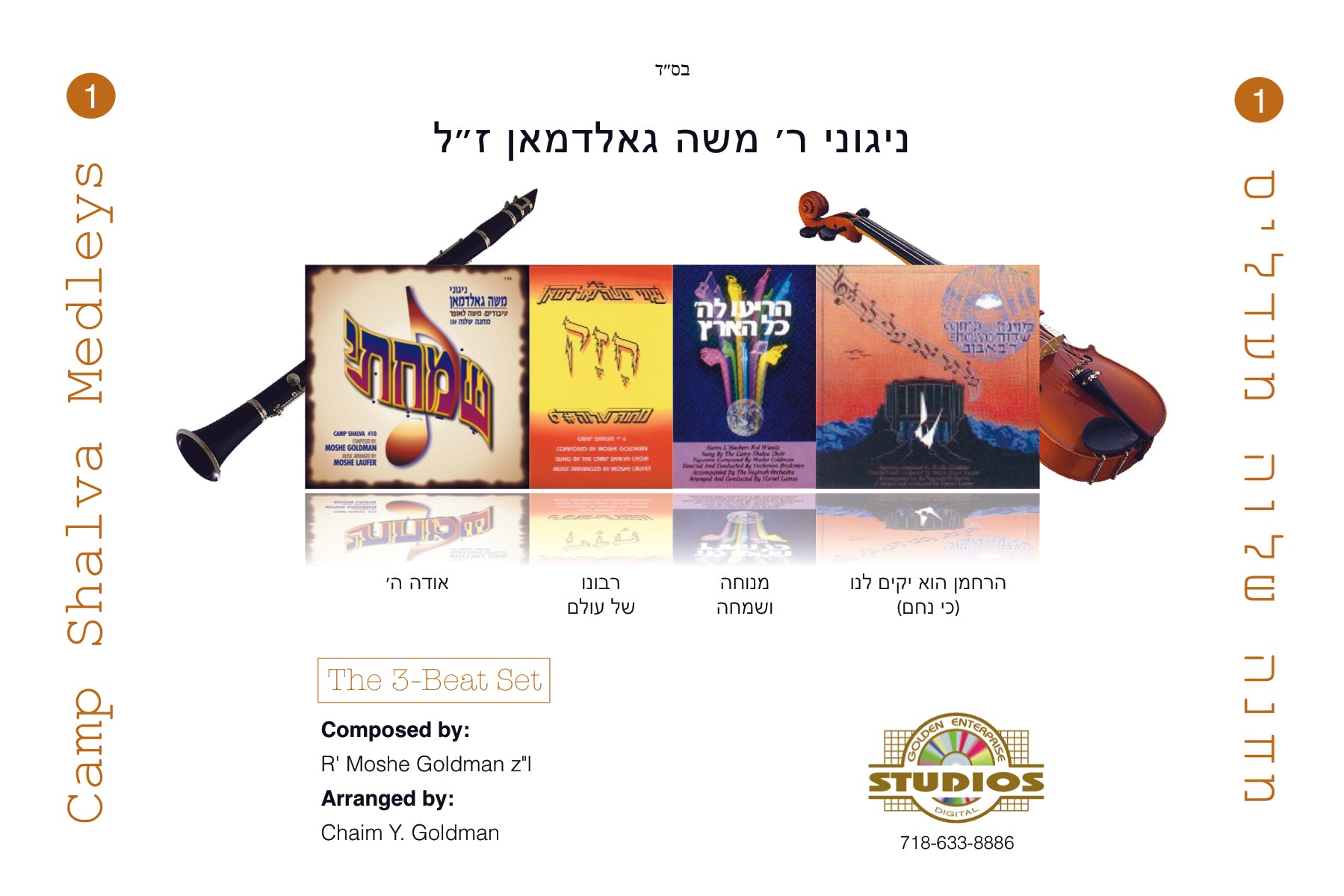 Moshe Goldman - Camp Shalva Medleys
