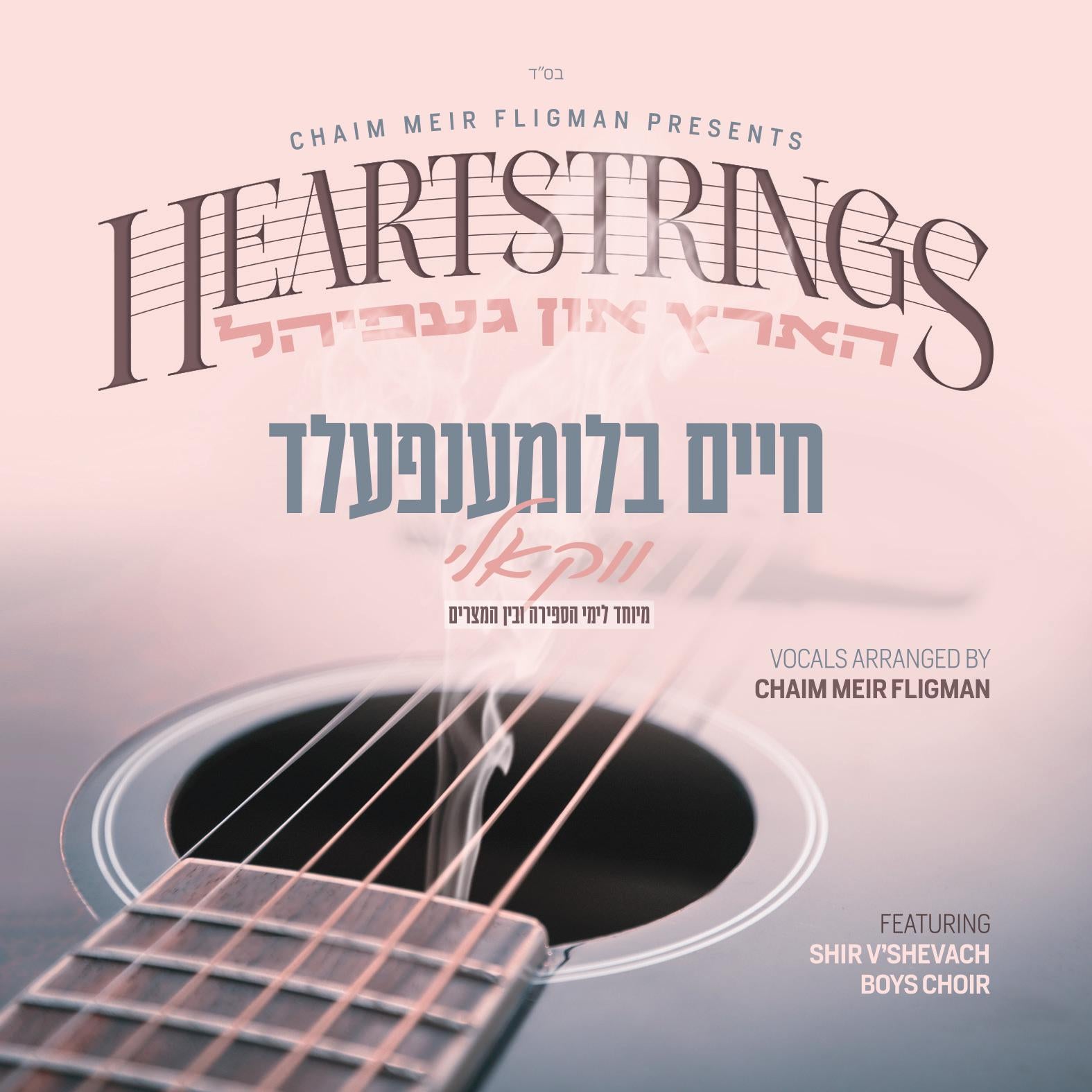 Chaim Blumenfeld - Heartstrings (Acapella)