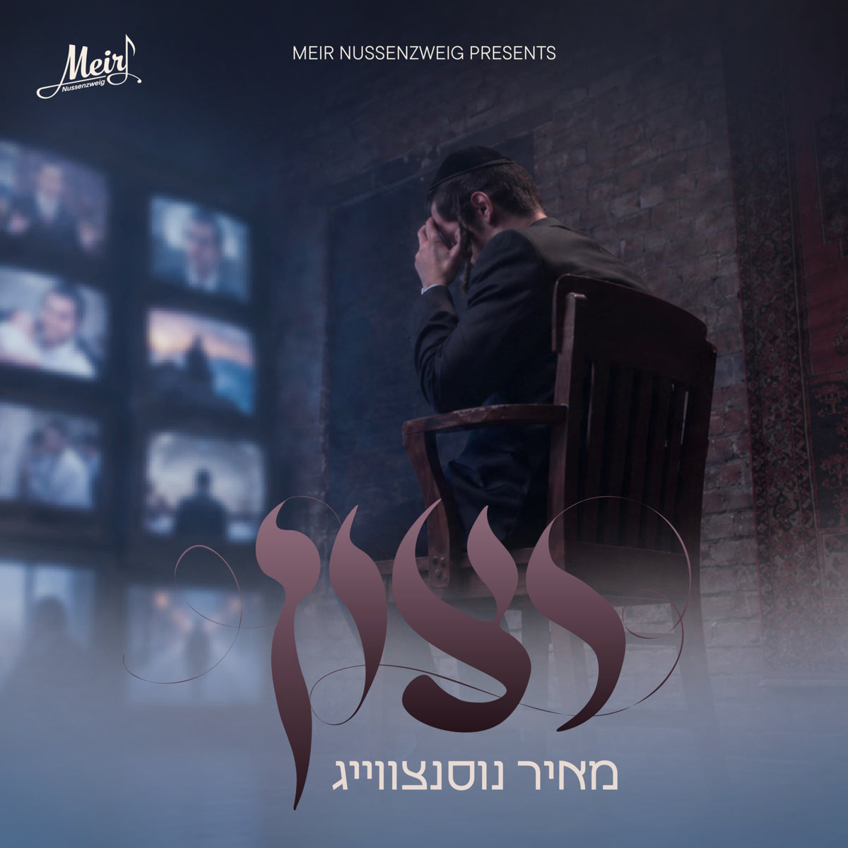 Meir Nussenzweig - Ratzon (Single)