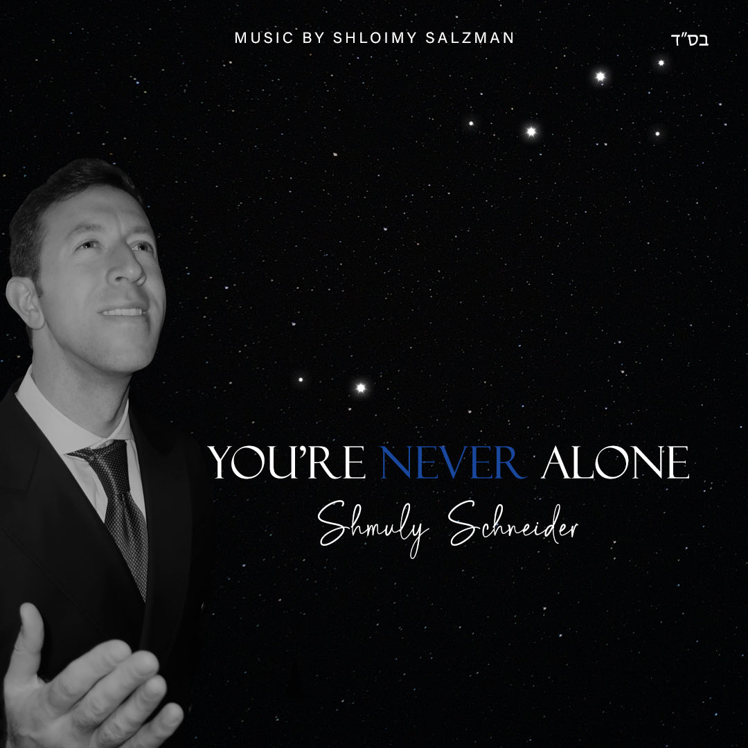 Shmuly Schneider - You’re Never Alone [Cover] (Single)