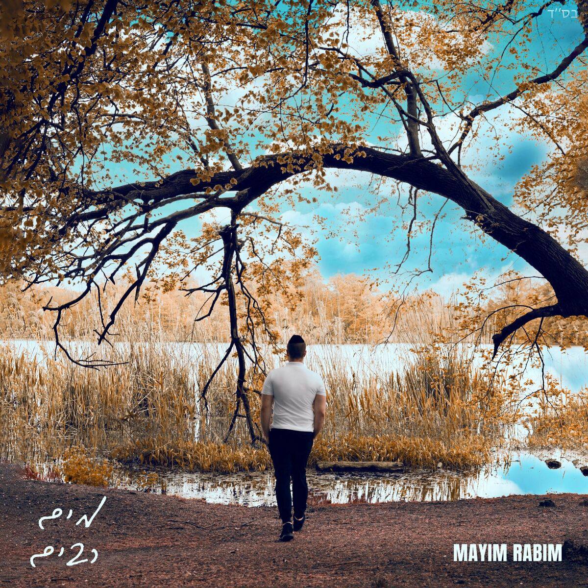 Danny Palgon - Mayim Rabim (Single)