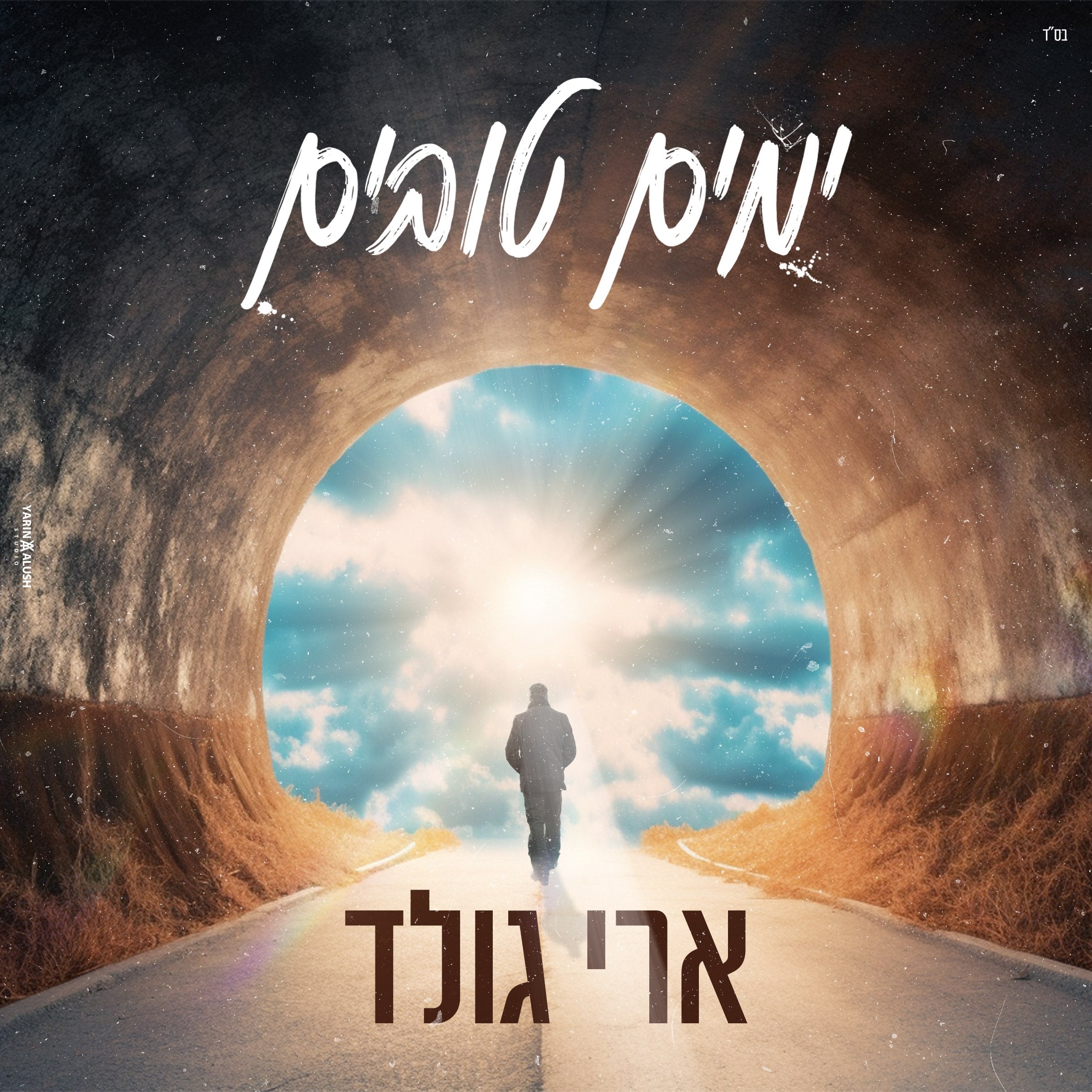 Ari Gold - Yamim Tovim (Single)