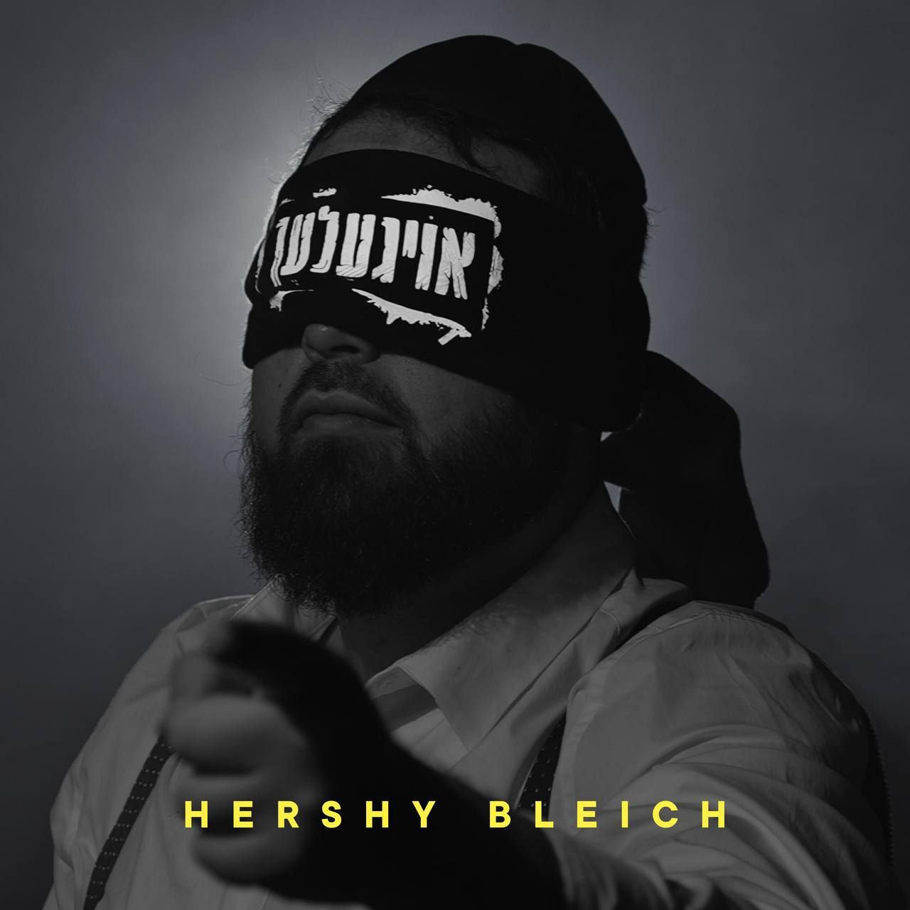 Hershy Bleich - Oigelech (Single)