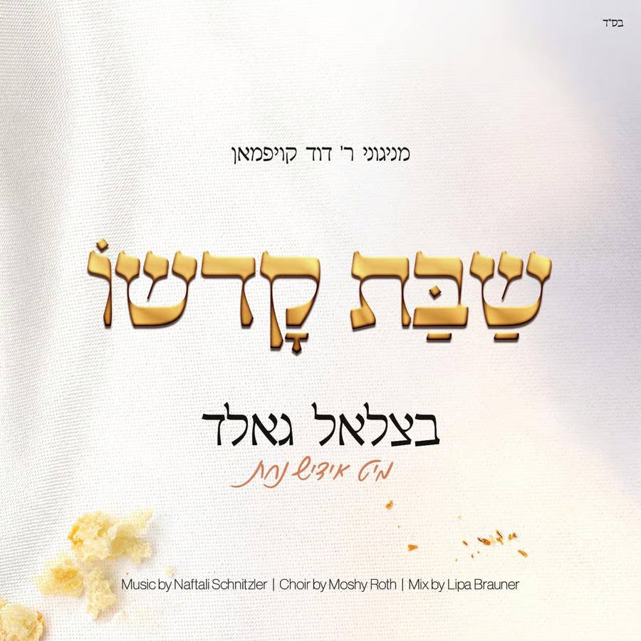 Duvid Kaufman, Tzali Gold & Yiddish Nachas - Shabbos Kodsho (Single)