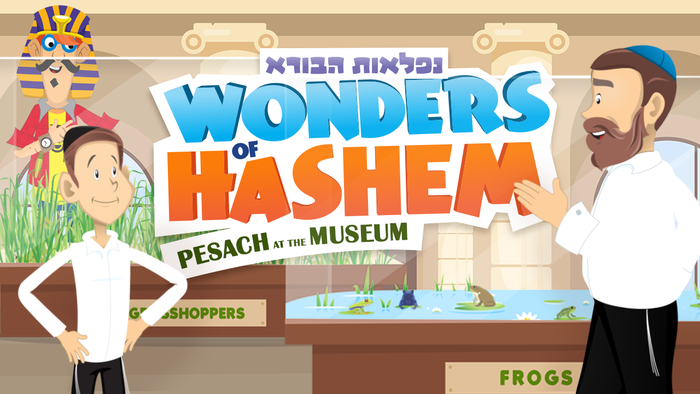 Wonders of Hashem - Frogs & Grasshoppers (Video)