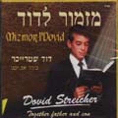 Dovid Streicher - Mizmor Ldovid