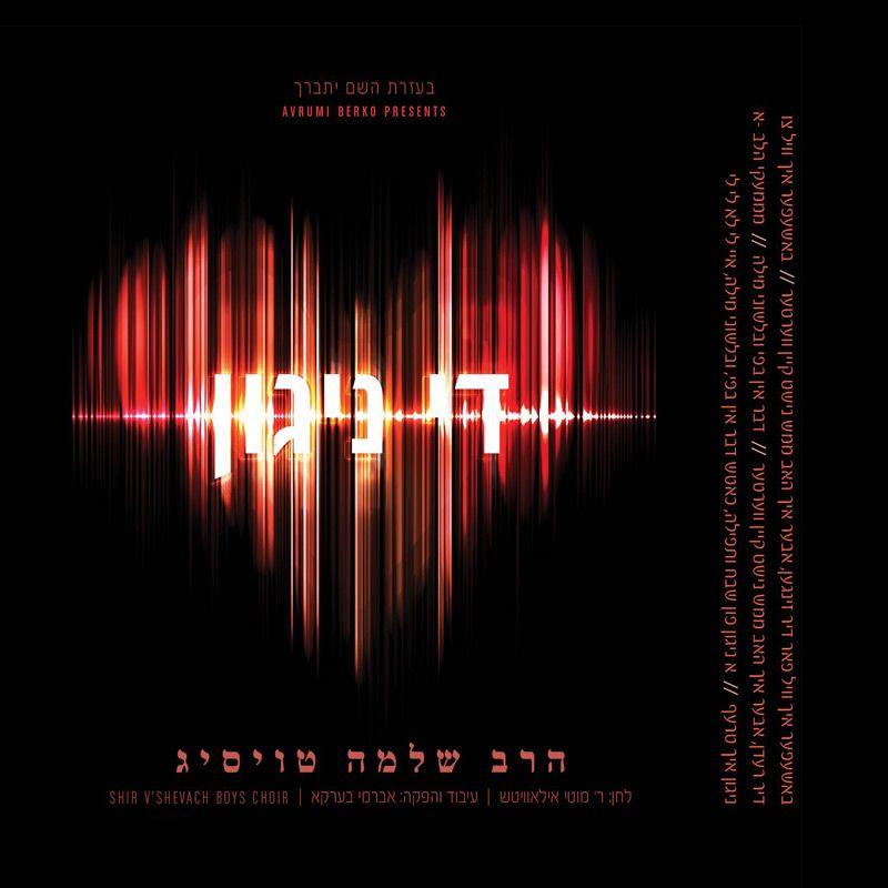 Shloime Taussig - Di Niggun (Single)