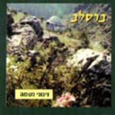 Breslov Chassidim - Breslov-Nigunei Simcha