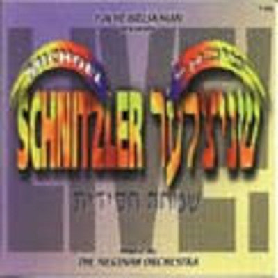 Michoel Schnitzler - Simcha Chassidis