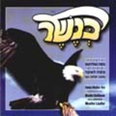 Moshe Goldman - Kinesher