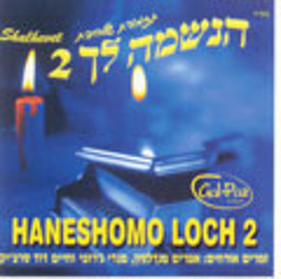 Shalhevet Orchestra - Haneshama 2