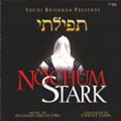 Nochum Stark - Tefilosi