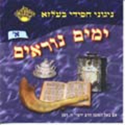 Belz - Yomim Noraim 1
