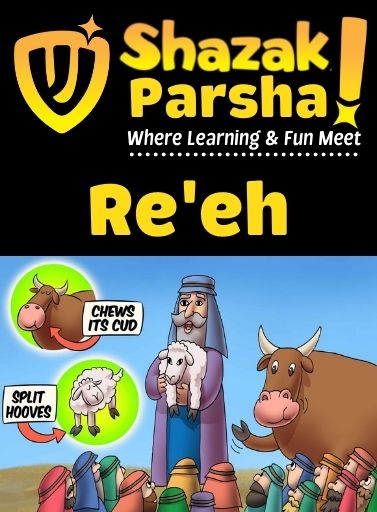 Shazak Productions - Parshas Re'eh
