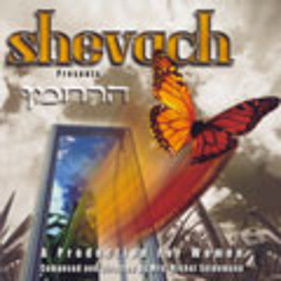 Michal Seidemann - Shevach