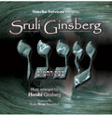 Sruli Ginsberg - Aneini