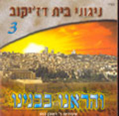 Nigunei Dzikov - 3 Vehareinu Bevinyonoi