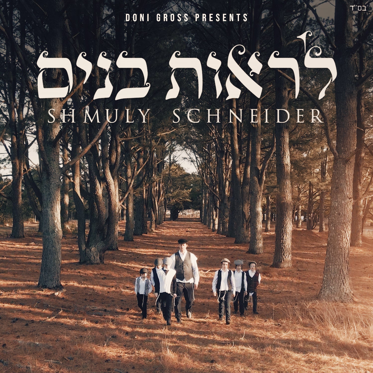 Shmuly Schneider - Liros Bunim [Cover] (Single)