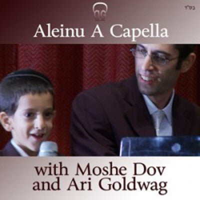 Ari Goldwag - Aleinu