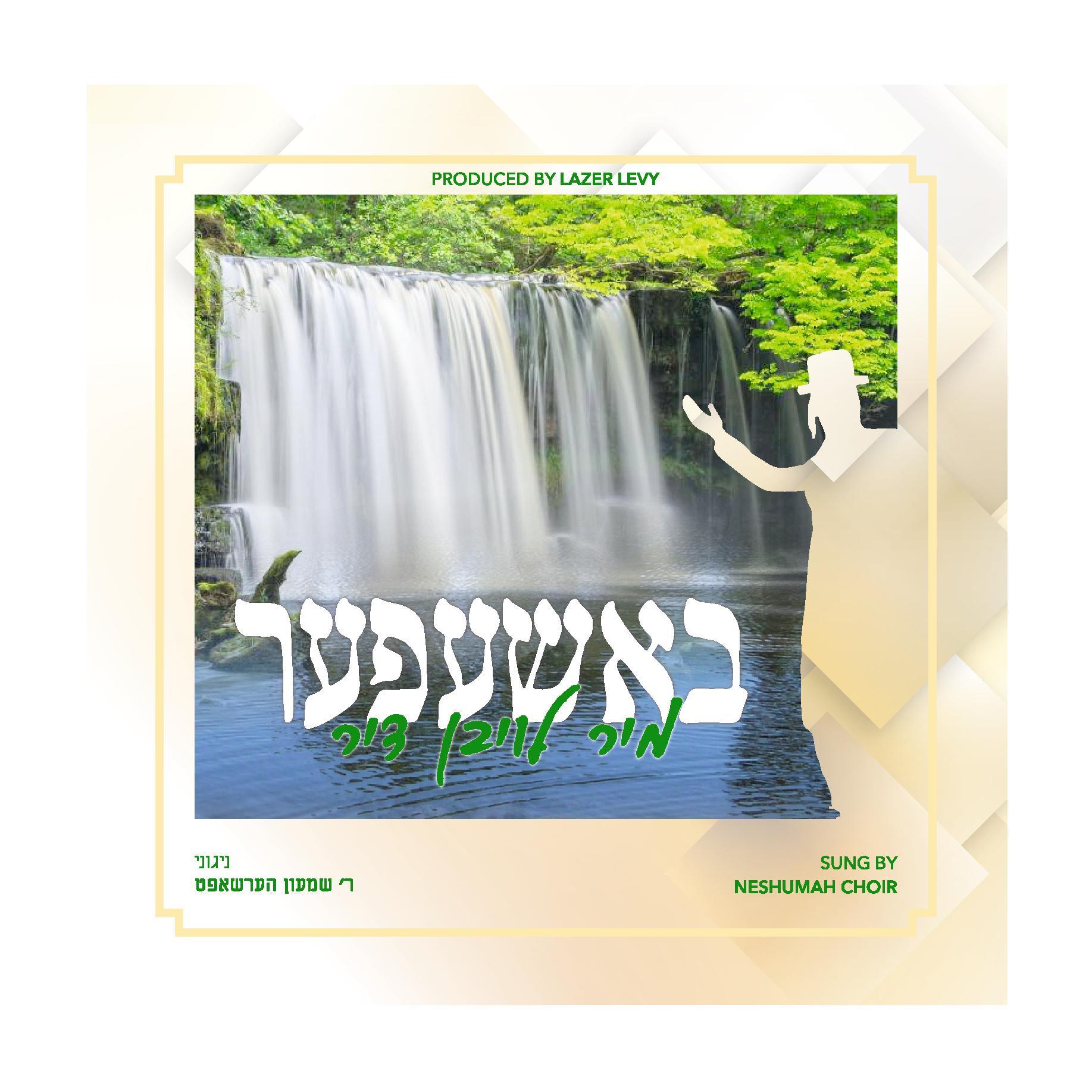 Lazer Levy - Bashefer