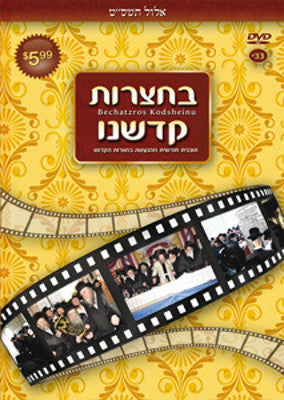 Bechatzros Kodsheinu - Vol 33 5769 Elul