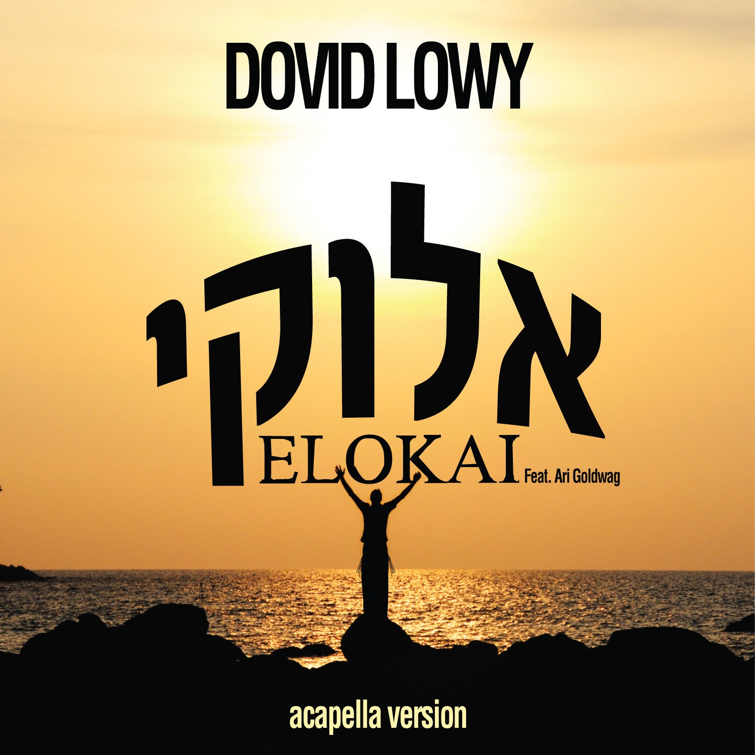 Dovid Lowy - Elokai - Free Acapella single - feat. Ari Goldwag