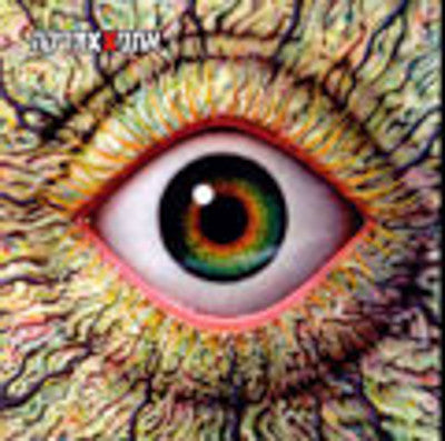 אתניקס - אמריקה