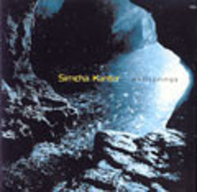 Simcha Kanter - Wellsprings