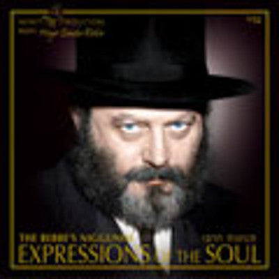 Mayer Simchah Rivkin - Tenuos HaRebbi - Expressions of The Soul