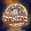 Meshulam Greenberger - Betifarto