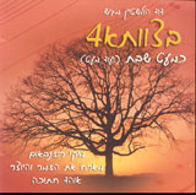 Micki Rosenbaum - Betzavta 4