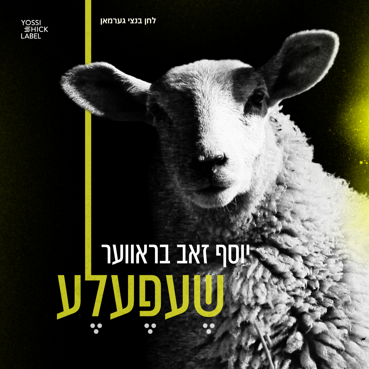 Yosef Zev Braver - Shefele (Single)