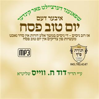 R' Duvid C. Weiss - Yom Tov Pesach