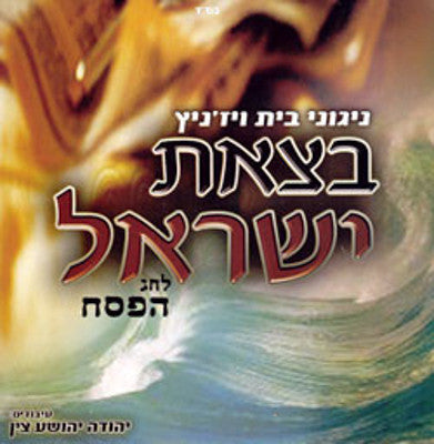 ויז'ניץ - בצייס ישראל