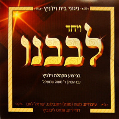 Various - Niggunei Beis Viznitz - V'Yachad