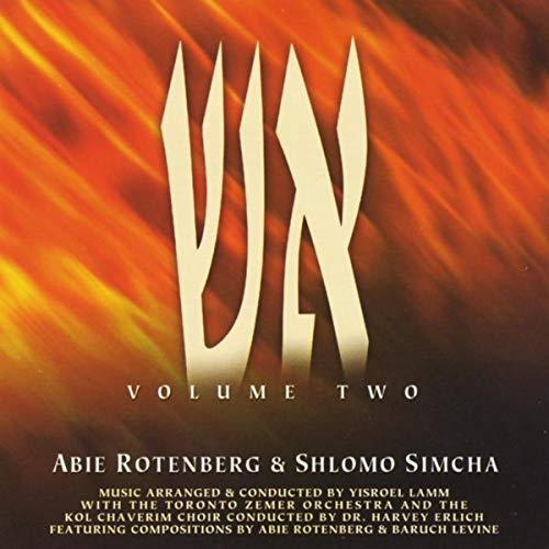 Abie Rotenberg & Shlomo Simcha - Aish 2