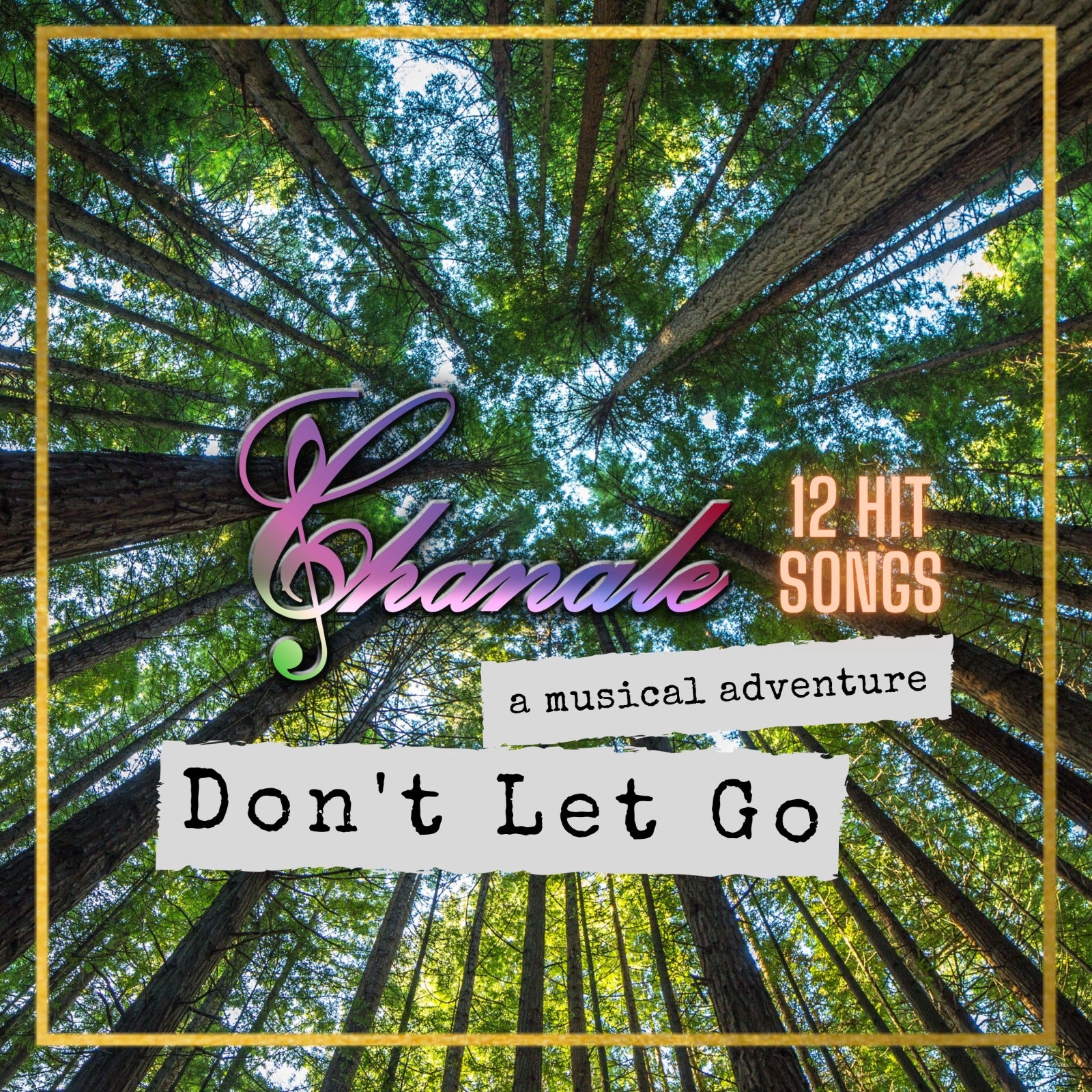 Chanale - Dont Let Go