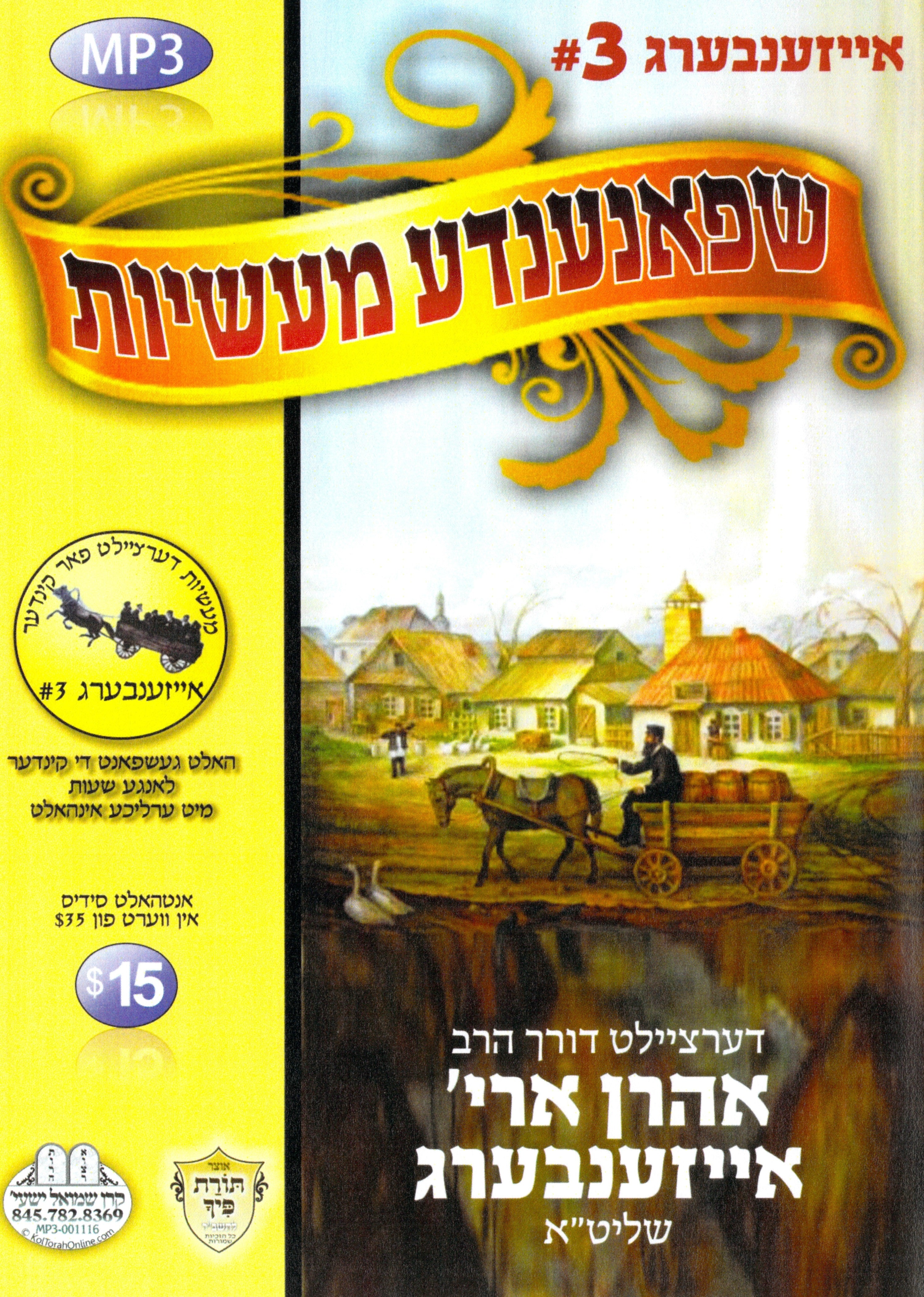 R' Ahron Aryeh Eisenberg - Kinder Masiyos 3