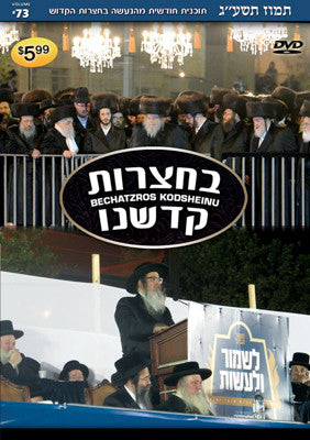 Bechatzros Kodsheinu - Vol 73 5773 Tammuz
