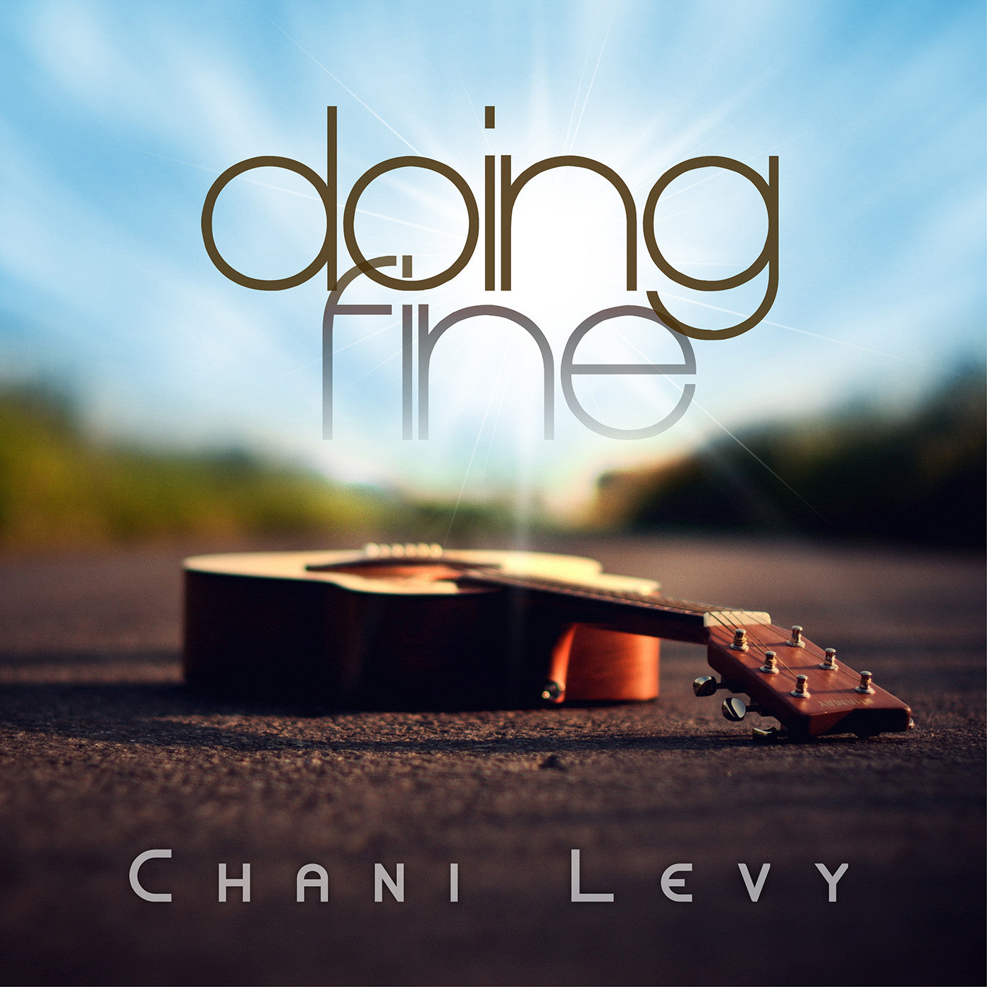 Chani Levy - Doing Fine (for women & girls)