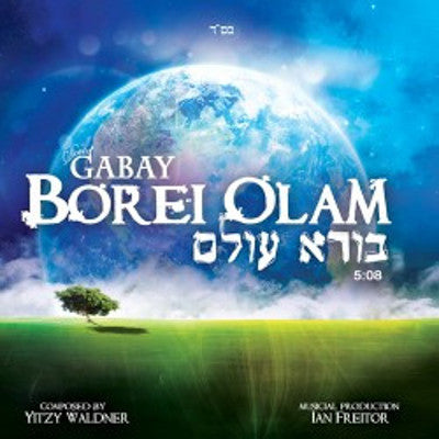 Dovid Gabay - Borei Olam