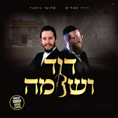 Shloime Gertner - Dovid V'Shloime