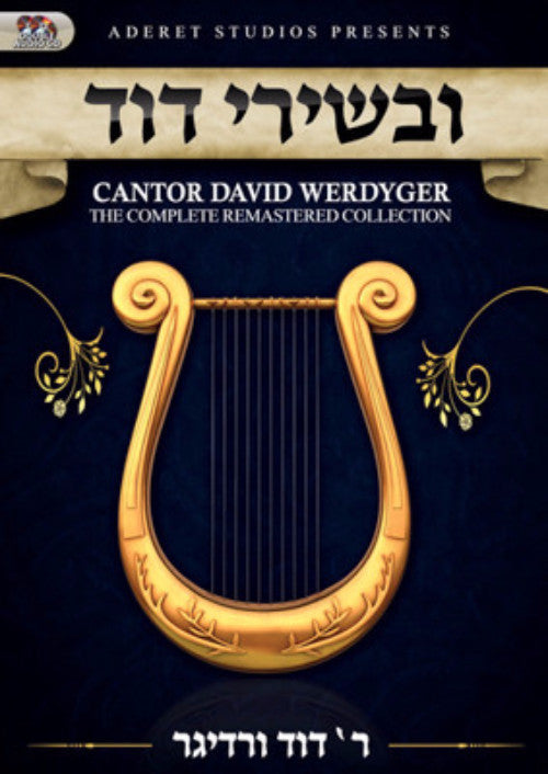 David Werdyger - Uvishirei Dovid