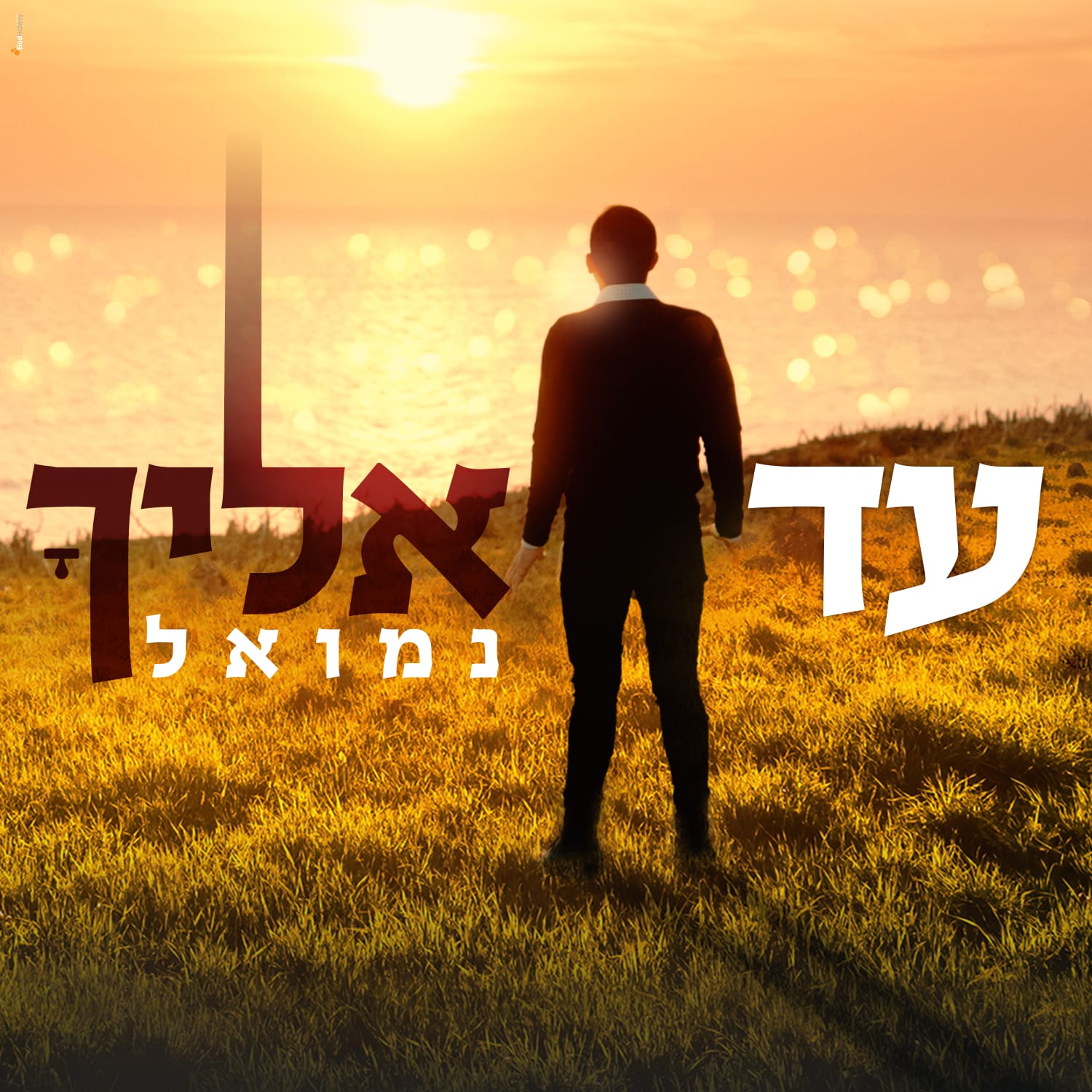 Nemouel - Ad Elecha (Single)