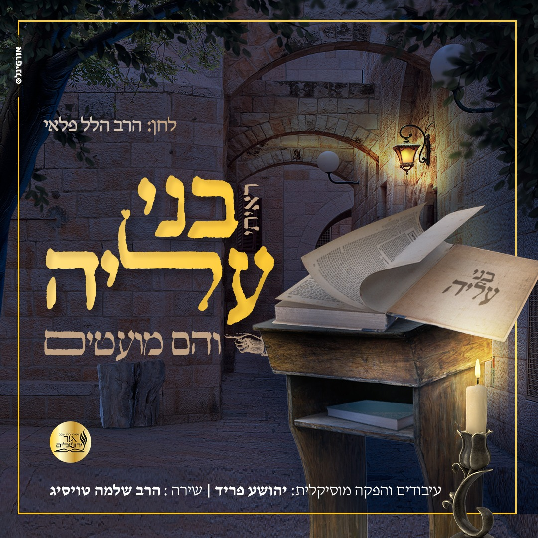 R' Shloime Taussig - Raiti Bney Aliah (Single)