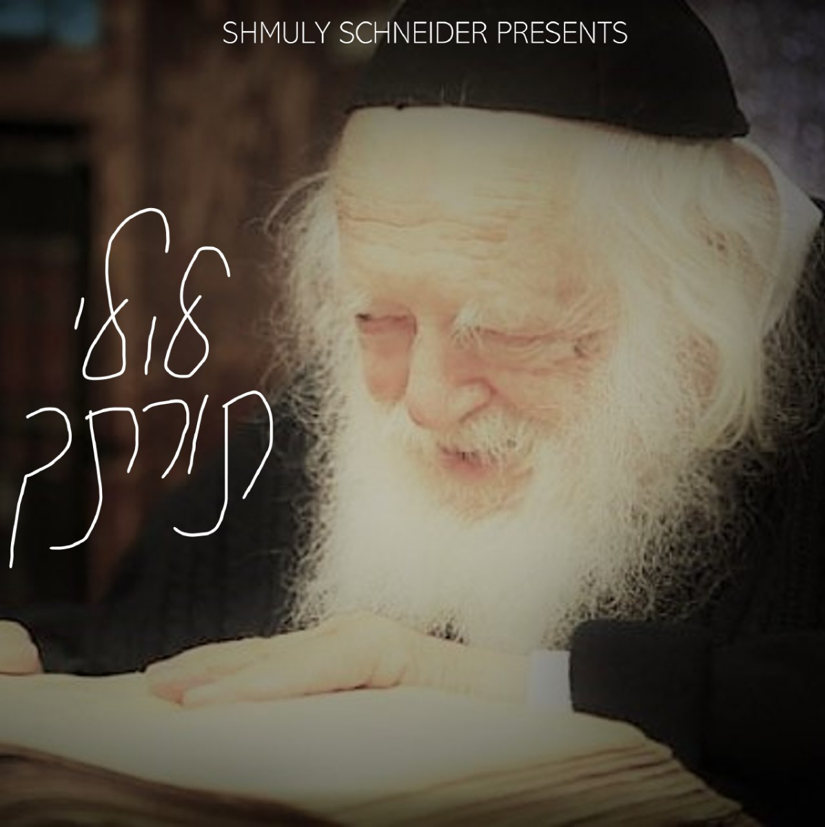 Shmuly Schneider - Lulei Sorascha (Single)