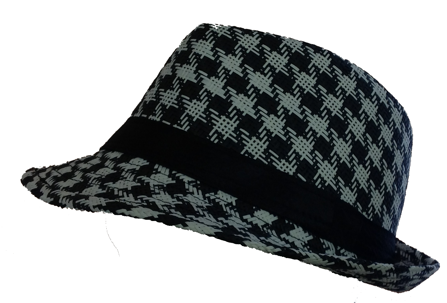 Twins From France Hat