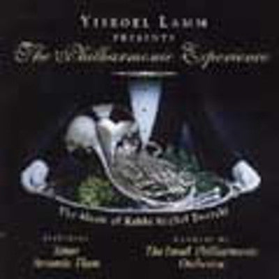 Yisroel Lamm - The Philharmonic Experience 2