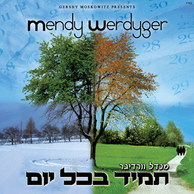 Mendy Werdyger - Tomid B'Chol Yom